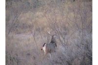 Property in Throckmorton County, Texas