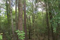 Property in Bullock County, Alabama