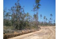 Property in Stone County, Mississippi