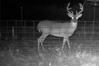 Property in Wichita County, Texas