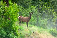 Property in Clearwater County, Idaho