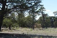 Property in Catron County, New Mexico