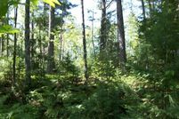 Property in Delta County, Michigan