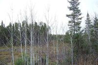 Property in Iron County, Michigan