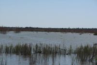 Property in Llano County, Texas