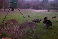 Property in Choctaw County, Oklahoma