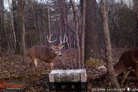 Property in Sharp County, Arkansas