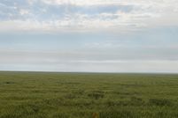 Property in Cheyenne County, Colorado