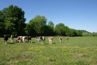 Property in Smith County, Tennessee