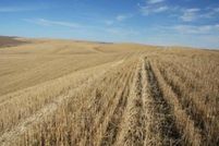 Property in Whitman County, Washington