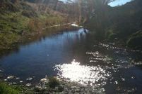 Property in Lincoln County, Washington