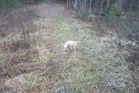 Property in Somerset County, Maine