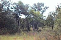 Property in Atascosa County, Texas