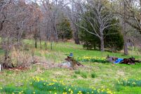 Property in Douglas County, Missouri