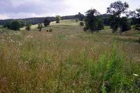 Property in Douglas County, Missouri