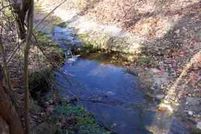 Property in Douglas County, Missouri