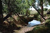 Property in Yuma County, Colorado