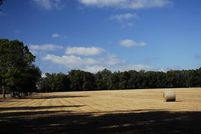 Property in Alachua County, Florida