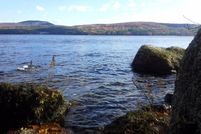 Property in Hancock County, Maine