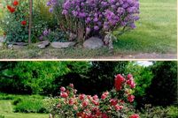 Property in Delaware County, New York