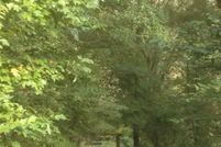 Property in Bell County, Kentucky