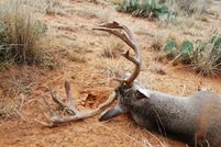 Property in Wilbarger County, Texas