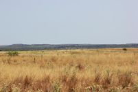 Property in Cottle County, Texas