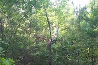 Property in Little River County, Arkansas