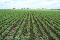 Property in Henry County, Iowa