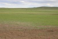 Property in Daniels County, Montana