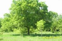 Property in Hood County, Texas