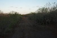 Property in Refugio County, Texas