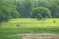 Property in Hopkins County, Texas