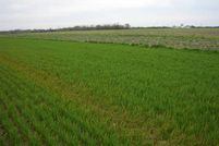 Property in Montgomery County, Missouri