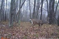 Property in Pine County, Minnesota