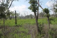 Property in Bastrop County, Texas