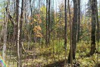 Property in Ontonagon County, Michigan
