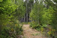 Property in Mason County, Washington