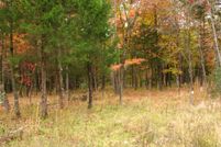 Property in Brown County, Indiana