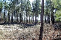 Property in Little River County, Arkansas