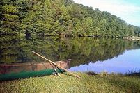 Property in Wayne County, Tennessee