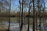 Property in Warren County, Mississippi