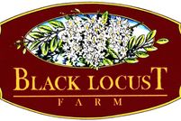 Property in Scurry County, Texas