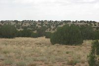 Property in Navajo County, Arizona