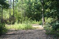 Property in Greene County, Arkansas