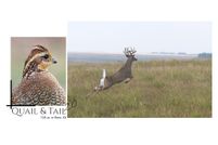 Property in Reno County, Kansas