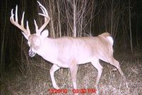 Property in Claiborne County, Mississippi