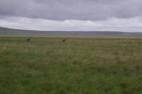 Property in Cascade County, Montana