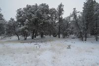 Property in Catron County, New Mexico