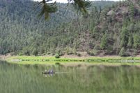 Property in Catron County, New Mexico